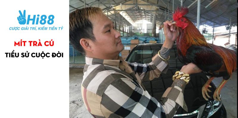 Videos trận đá gà 24 tỷ - Diễn biến chi tiết trận đấu 2 Mít Trà Cú là ai?